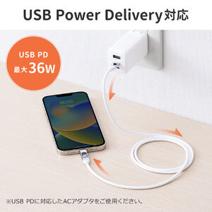 PD電力表示機能付き USB Type-C Lightning ケーブル 500-IPLM032BKの