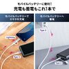 USB Type-C Lightning 2in1 USBP[u 1m TypeC-C PD60WΉ MFiFؕi f[^] iPad iPhone16 bVP[u 500-IPLM034W-1