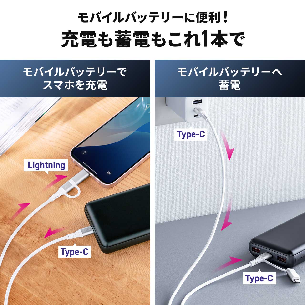 USB Type-C Lightning 2in1 USBP[u 2m TypeC-C PD60WΉ MFiFؕi f[^]  iPad iPhone16 bVP[u 500-IPLM034W-2