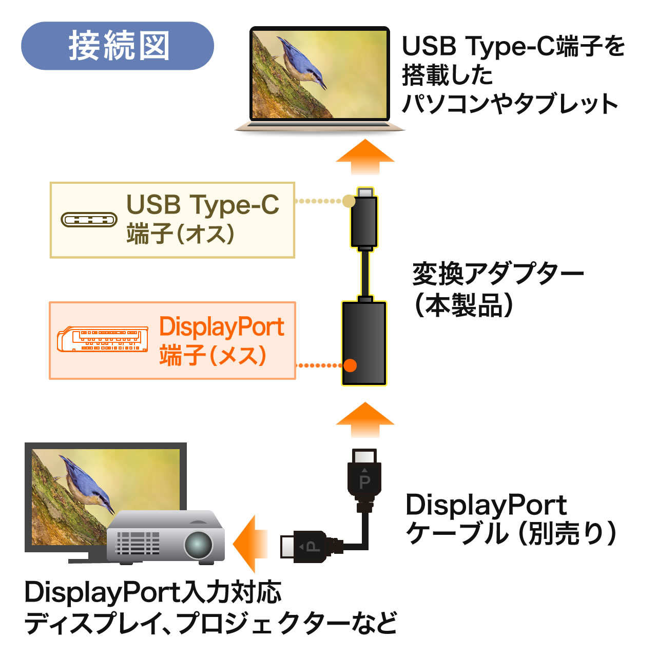 USB Type-C - DisplayPortϊA_v^[iUSB3.1 Type-C to DisplayPortϊEʊgEE4Ko͉\Edsvj 500-KC017CDP