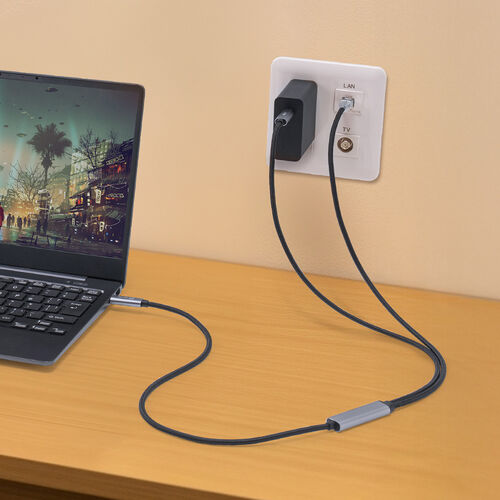 �u�[�d�{�L��LAN�v����1�{�BPD100W�Ή��̕ϊ��P�[�u���𔭔�