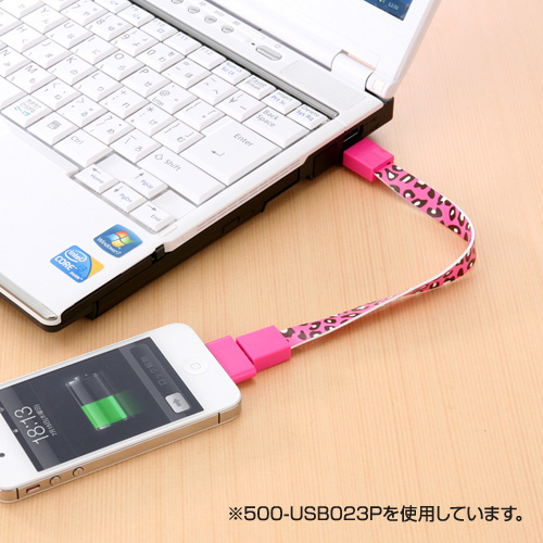 y킯݌ɏz OUSBP[uiiPhoneEX}[gtHΉEMicroUSBEDockEIWj 500-USB023D