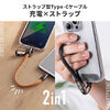 yViP10{zUSBP[u USB Type-C Xgbv }[d PD240WΉ nhXgbv iPhone16 22cm ubN 500-USB097BK