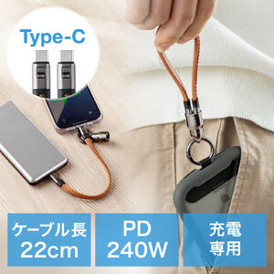 yViP10{zUSBP[u USB Type-C Xgbv }[d PD240WΉ nhXgbv iPhone16 22cm uE