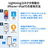 iPhone iPad Lightning Type-C USB 128GB obNAbv f[^] 摜  MFiF Word Excel K^bN 600-IPL128GCGM