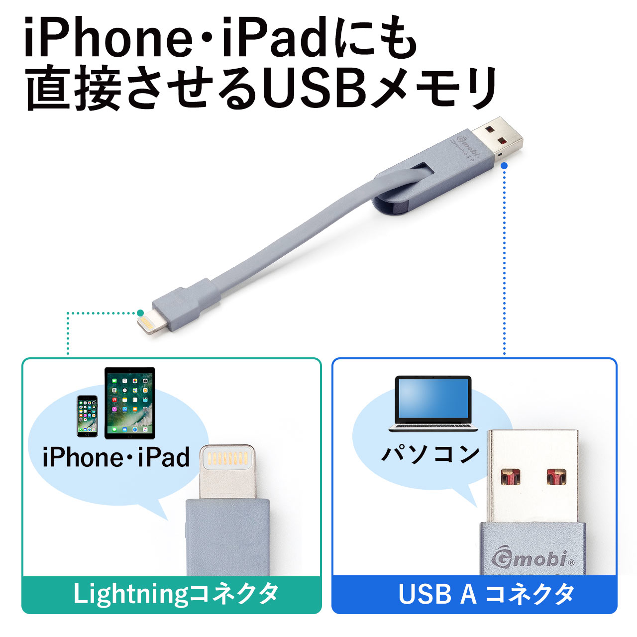 iPhoneEiPad USBi64GBELightningRlN^tE}[dΉEMFiF؁EiStickPro 3.0EO[j 600-IPL64GCG3