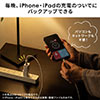 【メモリセール】iPhone iPad Lightning Type-C USBメモリ 1TB バックアップ データ転送 画像 動画 MFi認証 word excel