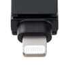 ���C�g�j���O �� Type-C USB������ 256GB MFi�F�� iPhone iPad Android �Ή� �p�\�R�� �ʐ^ ���� �o�b�N�A�b�v �X�C���O�� iXflash