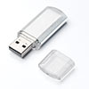 USBメモリ 16GB キャップ式 名入れ対応 600-UFD16GN2