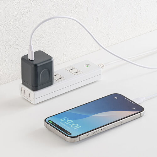 USB[d PD [d ő65W 1|[g Type-C~1 GaN̗p ܂肽ݎvO ^ L[u }[d m[gp\R X}z ^ubg PSEKi 700-AC044