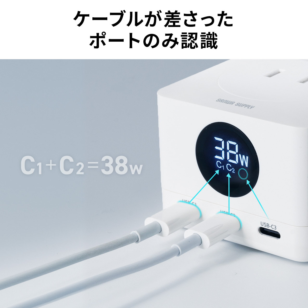 d^bv USB Type-C PD 65W GaN RZg3 d͕\Ή P[u2m 700-TAP080