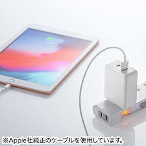 iPhone高速充電ケーブル・充電器セット（PD充電器・ PD最大18W・Type C/2.4Aポート搭載USB充電器・コンパクト・USB-C -  Lightningケーブルセット) 702-AC025SET024W