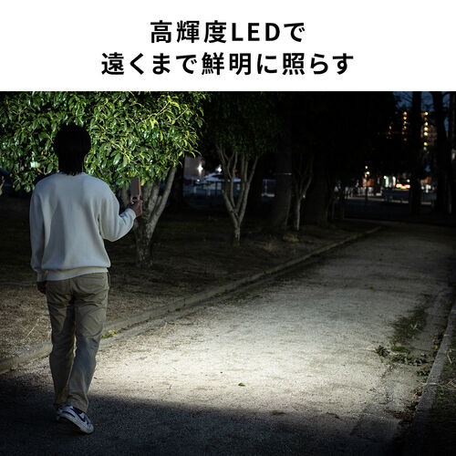 yVi|Cg10{zƓ LED [d h ^ Nbv }Olbgt 500[ X^h 莝Cg x[W 800-LED094