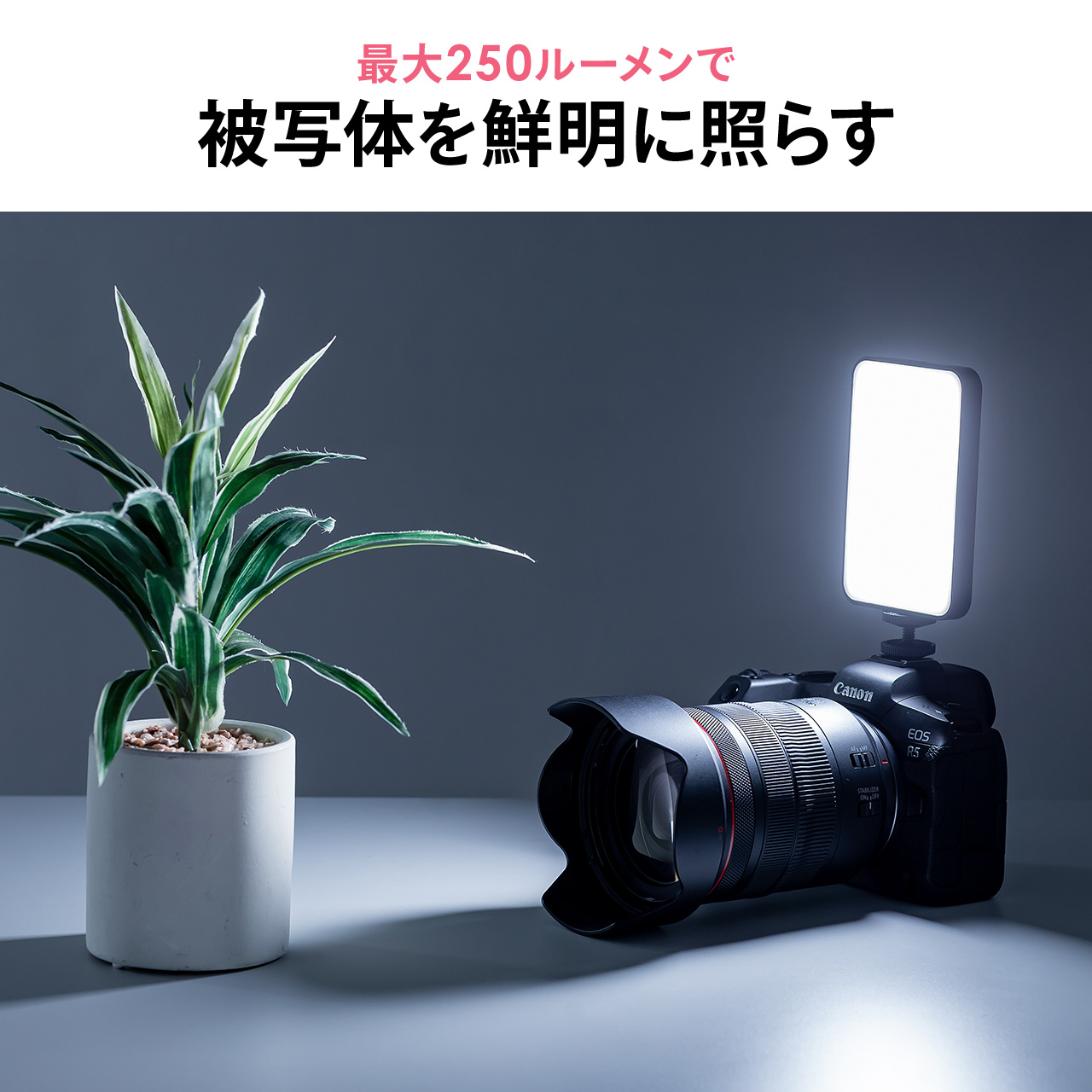 サンワダイレクト本店 サンワサプライ【オフィス・PC周辺通販】