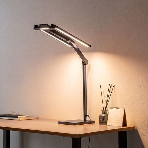 ��95cm�~���֐߂Ŋ��S�̂𖾂邭�Ƃ炷�I�X�^���h�^�C�v�̃f�X�N���C�g�𔭔�