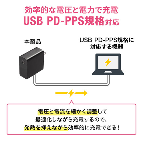 USB PDΉAC[d PD65W Type-CP[ut PSE擾 ACA-PD91BK