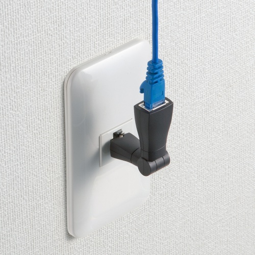 ������Ɖ��LAN�A�_�v�^