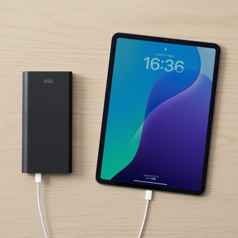USB PDΉoCobe[ 19800mAh PD60W Type-C~1 USB A~1 m[gp\R ^ubg X}[gtH @ o ^ PSEKi BTL-RDC37