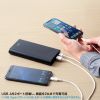 USB PDΉoCobe[ 19800mAh PD60W Type-C~1 USB A~1 m[gp\R ^ubg X}[gtH @ o ^ PSEKi BTL-RDC37