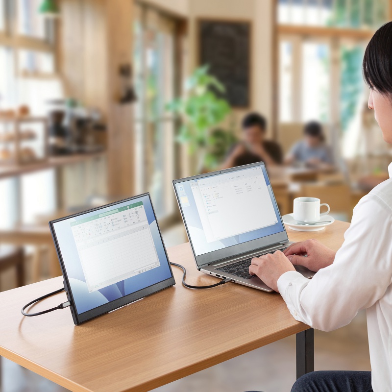 ���o�C�����j�^�[ 14�C���` �X�^���h�Ή� USB Type-C�ڑ� HDMI 1920�~1200 WUXGA ���o�C���f�B�X�v���C