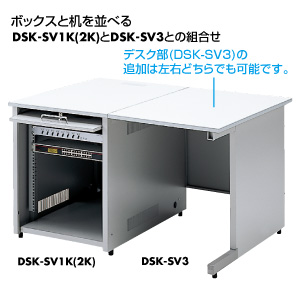ǉfXN DSK-SV3