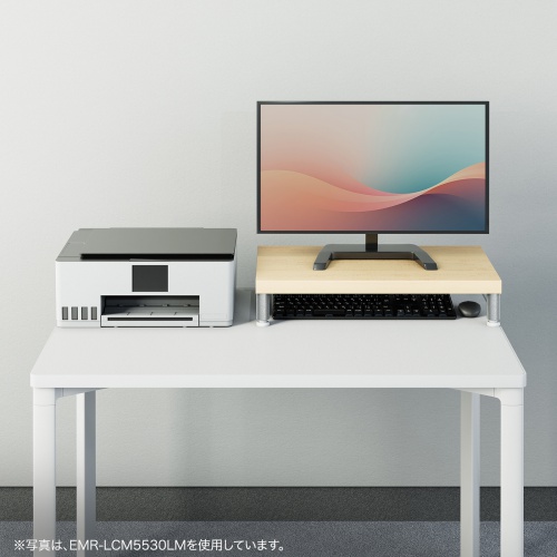 e���j�^�� ���j�^�[�� ����� �Z�~�I�[�_�[ ���� �ۋr ���V�� ��100cm ���s25cm ����10cm�y�󒍐��Y�i�z