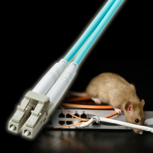 ���t�@�C�o�P�[�u�� �⋭���K�l�^ 2�c �}���`���[�h OM3 50��m LC�~2-LC�~2 10�M�K 5m