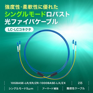メガネ型光ファイバケーブル(マルチ50μmOM3、LC×2-LC×2、30m