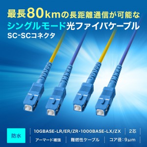 サンワサプライ HKB-WRB2LCLC1-10 防水ロバスト光ファイバケーブル（シングル9μm、2芯、LC×2-LC×2、10m） HKB-WRB2LCLC1-10防水ロバスト光ファイバケーブル（シングル9μm、2芯