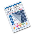 �ډB���n�K�L�ی�V�[���i2�ʕt�E20���E�\�蒼���\�j