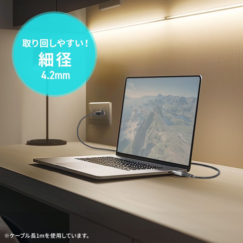 USB Type-C LANϊP[u JeS6 1Gbps MKrbg C to LAN MACAhXpXX[Ή rfIʘb Q[ 2m KB-SL6CLAN02BK