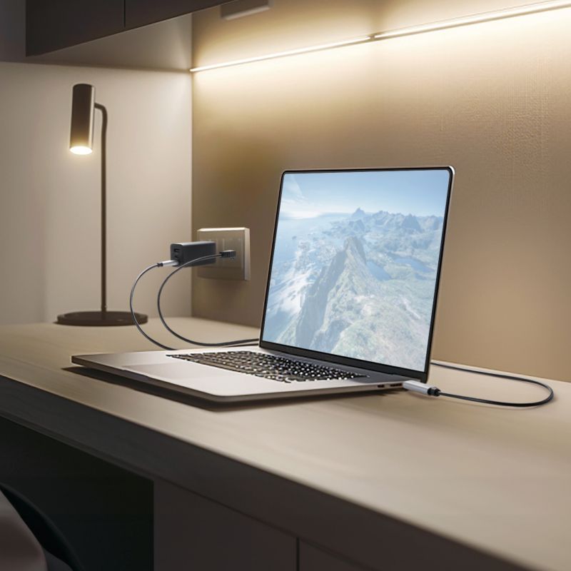 USB Type-C LAN�ϊ��P�[�u�� PD100W�[�d 2m �J�e�S��6A 1Gbps �M�K�r�b�g C to LAN MAC�A�h���X�p�X�X���[�Ή� �r�f�I�ʘb �Q�[��