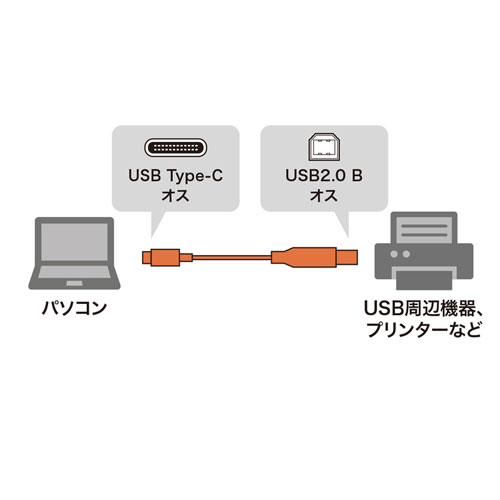 USB Type-Cケーブル 1m USB2.0 USB Type-Cコネクタ USB Bコネクタ
