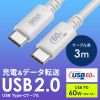 Type-C�P�[�u�� USB2.0  480Mbps �ő�PD60W USB-IF�F�ؕi ��3m �z���C�g