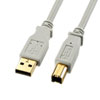 AEgbgFUSBP[u 0.3m USB2.0 A-BRlN^ bL CgO[ USB-IFFؕi ZKU20-03HK2