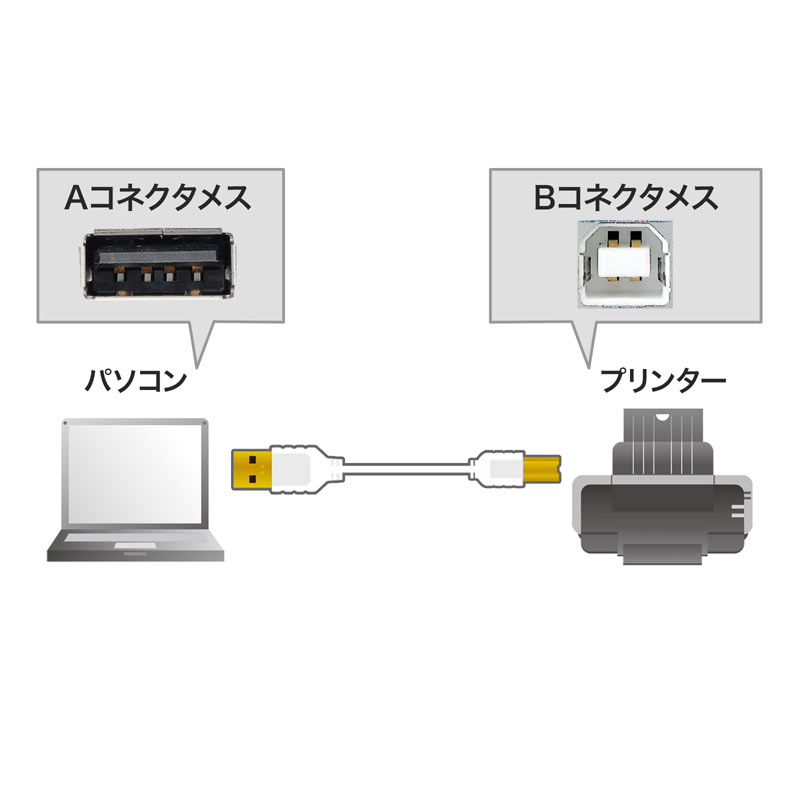 極細USBケーブル 0.5m USB2.0 A-Bコネクタ ホワイト KU20-SL05WKの通販 