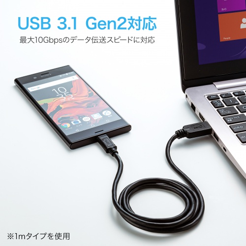 USB Type-Cケーブル 0.5m USB3.1 Gen2 USB A Type-Cコネクタ USB-IF