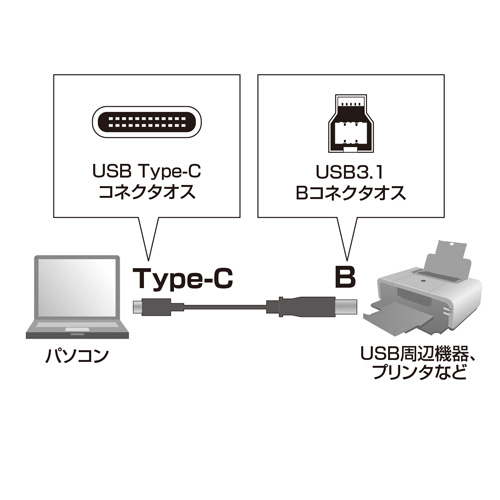 USB3.1 Type C ケーブル Bコネクタ KU31-CB10の販売商品 |通販なら