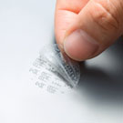 �Z�L�����e�B�V�[������15��(�ۃV�[���E����)