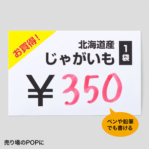 カラーレーザー用（耐水紙・中厚・A3） LBP-WPF15MDPN-A3の通販なら