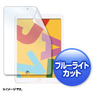 Apple iPad10.2用フィルム(第7世代・液晶保護・ブルーライトカット・指紋防止・光沢)