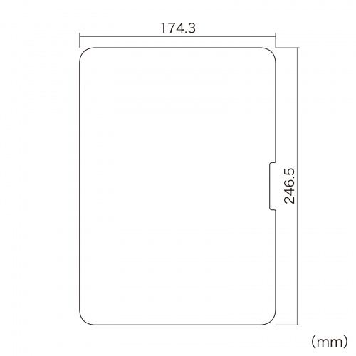 tیtB ˖h~ Apple iPad Pro 11C` M4p LCD-IPAD242