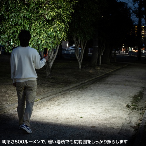 Ɠ LED [d h ^ Nbv }Olbgt 500[ X^h 莝Cg LED-WL1