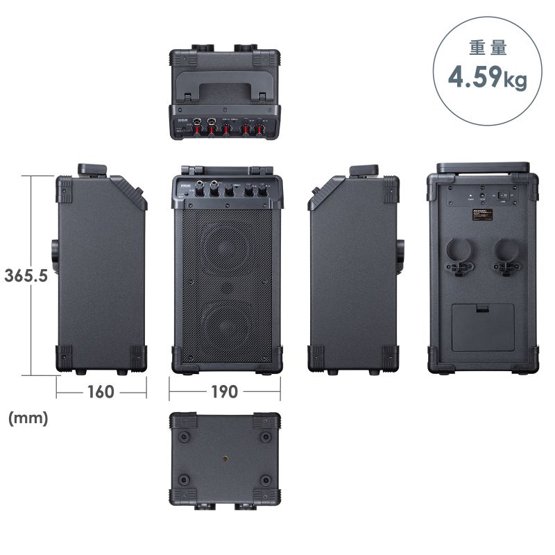 �g���� ���C�����X�}�C�N �X�s�[�J�[�Z�b�g �}�C�N2�{�t 40W �d�r�쓮 AC�d�� ��^ ���[�o�b�O�t�� PA�V�X�e�� �C�x���g �I�� �Z�~�i�[ �u�` ��c �^����