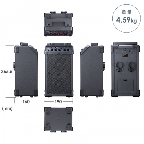 �g���� ���C�����X�}�C�N �X�s�[�J�[�Z�b�g �}�C�N2�{�t 40W �d�r�쓮 AC�d�� ��^ ���[�o�b�O�t�� PA�V�X�e�� �C�x���g �I�� �Z�~�i�[ �u�` ��c �^����