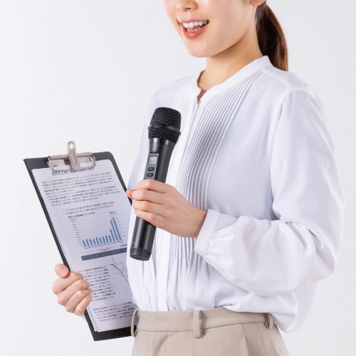 ���C�����X�}�C�N MM-SPAMP21�p A�^�C�v �����p