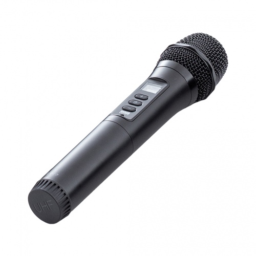 ���C�����X�}�C�N MM-SPAMP21�p A�^�C�v �����p