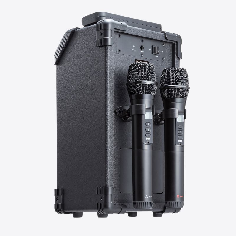 ���C�����X�}�C�N MM-SPAMP21�p B�^�C�v �����p