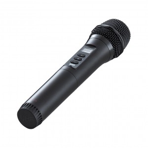 ���C�����X�}�C�N MM-SPAMP21�p B�^�C�v �����p