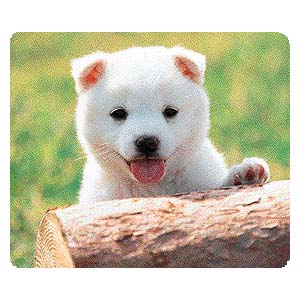 マウスパッド 日本犬 Mpd 4pの販売商品 通販ならサンワダイレクト